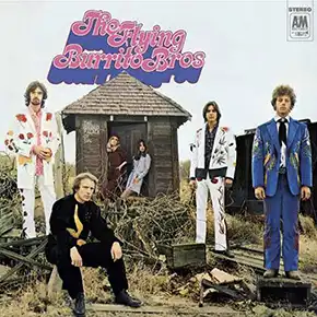 The Gilded Palace of Sin - The Flying Burrito Brothers CD