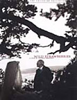 Wild Strawberries