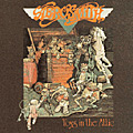 Toys In The Attic album