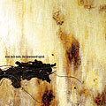 The Downward Spiral album