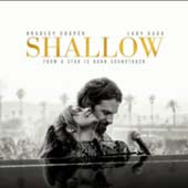 Shallow single cover