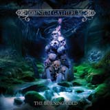 Omnium Gatherum - The Burning Cold album cover