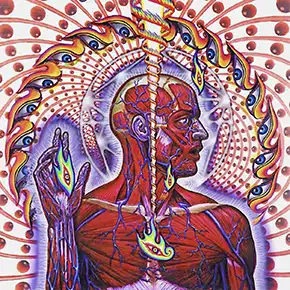 Lateralus album cover