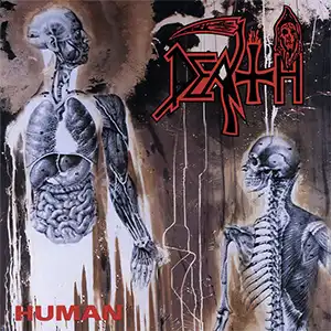 Human