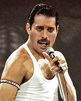 rock vocalist Freddie Mercury