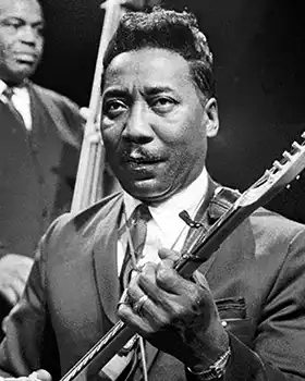 Muddy Waters