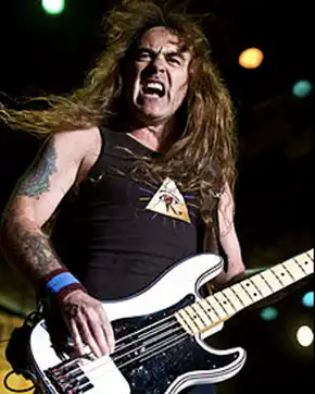 metal music bassist Steve Harris