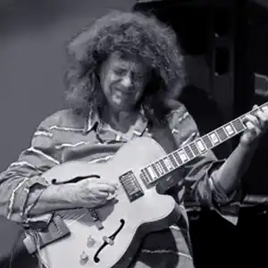 jazz guitarist Pat Metheny