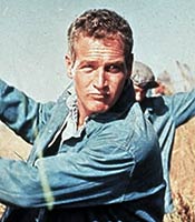 Actor Paul Newman in the movie Cool Hand Luke
