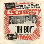 Crickets - Oh Boy! single sleve