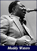 Muddy Waters