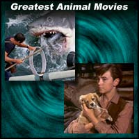 Scenes from animal movies Jaws and Old Yeller