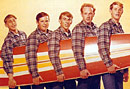 The Beach Boys