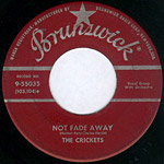 Not Fade Away