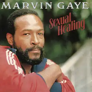 Sexual Healing by Marvin Gaye single cover